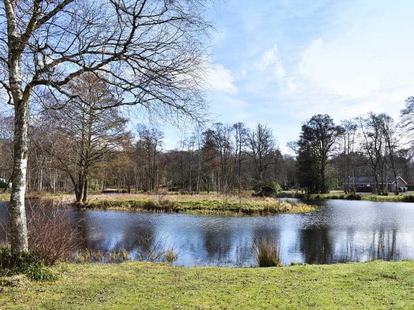 Surrounding area | Delta Saffron, Edzell, near Brechin