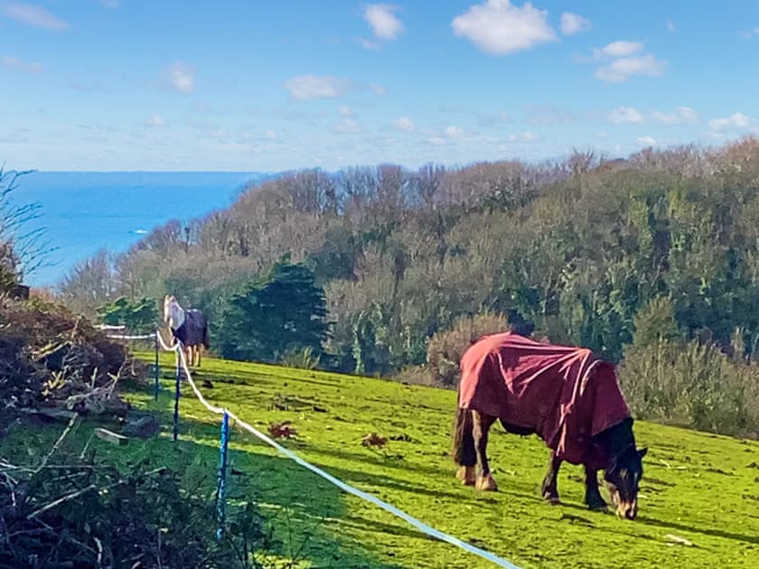 View | Sea Breeze, Wembury