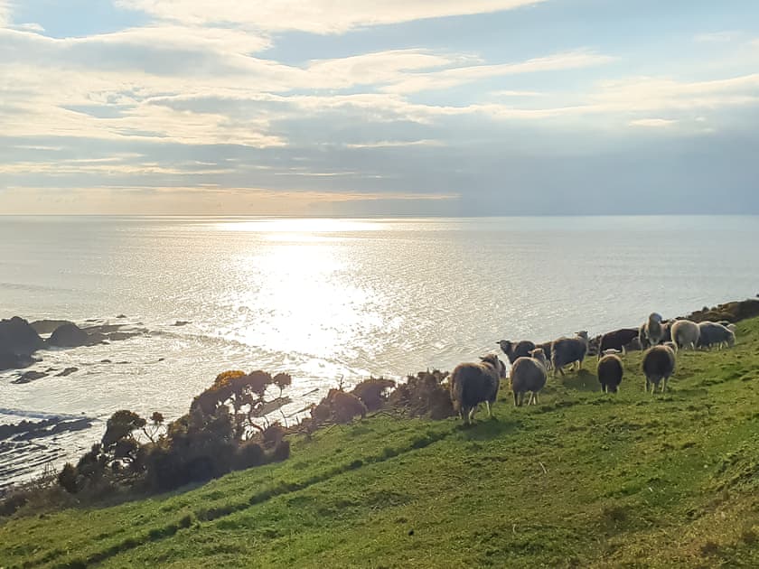 Surrounding area | Puffin House - Blegberry Farm, Hartland