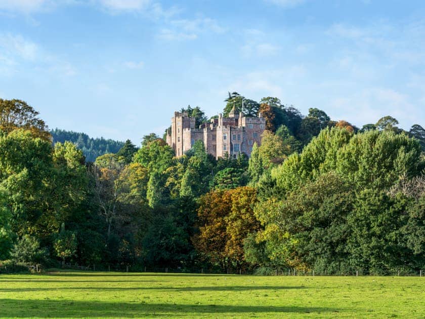 50 min drive to the stunning Castle and Watermill. Visit Watchet or Minehead on route | Dragonfly 1 - Dragonfly Barn, North Newton