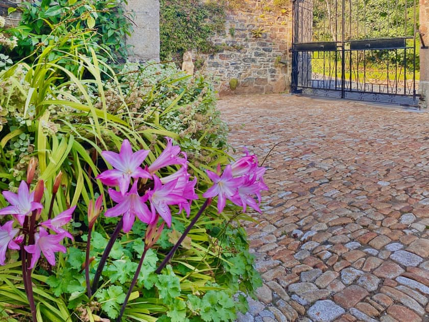 Garden | The Mews - The Mews Holidays, Penzance