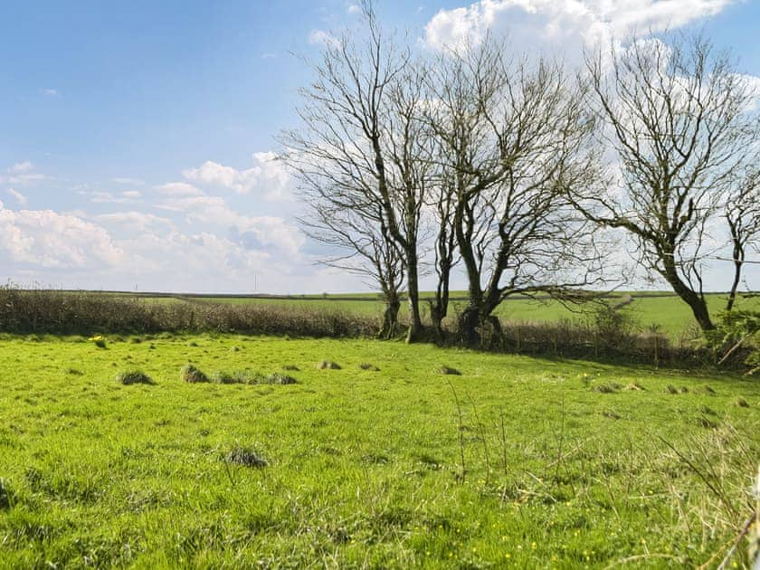 View | Gymmin House, Pendine