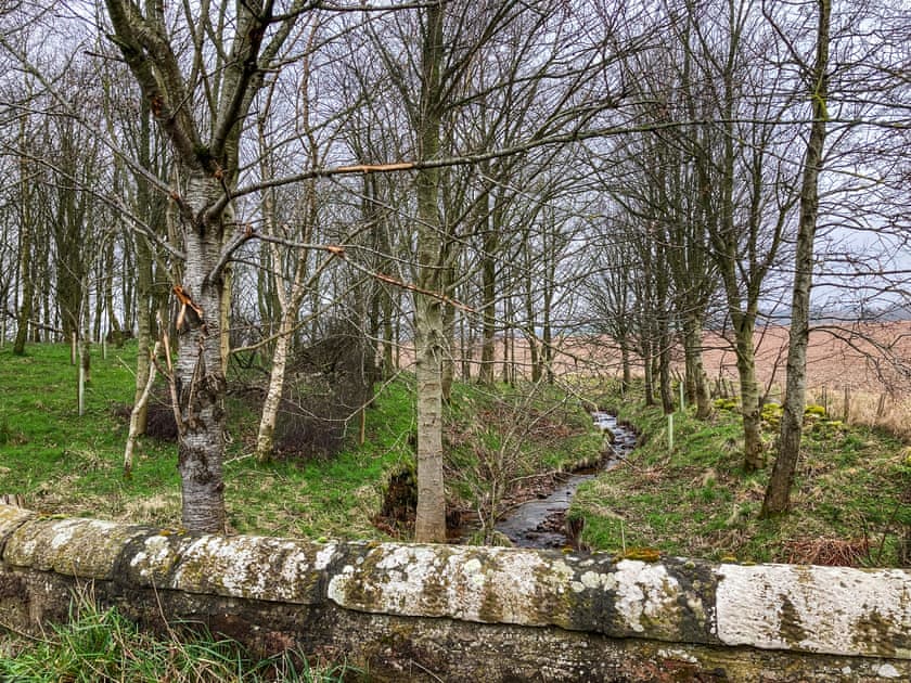 Surrounding area | The Garden Pod, Brechin