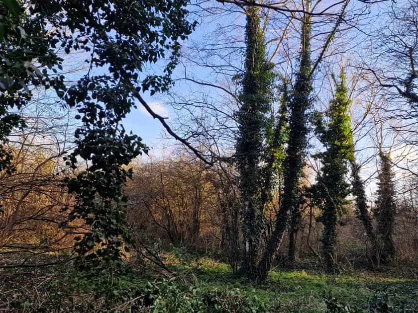 Surrounding area | Forest  View Cottage, Bulwell
