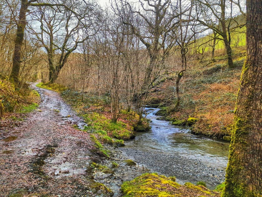 Surrounding area | Ysgubor Lodge, Llanwrin