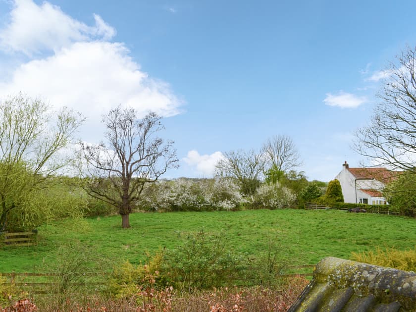 Surrounding area | Farmers Cottage, Withernsea
