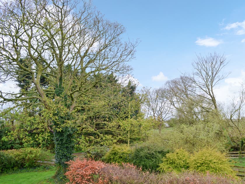 Surrounding area | Farmers Cottage, Withernsea
