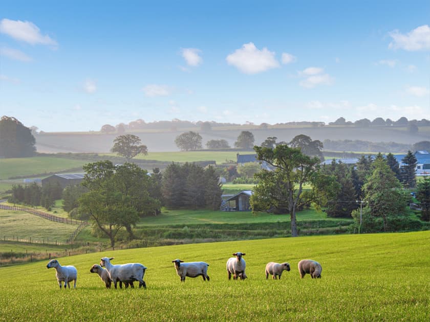 Surrounding area | Melbury Lodge - Brewery Farm Lodges, Ansty, near Dorchester