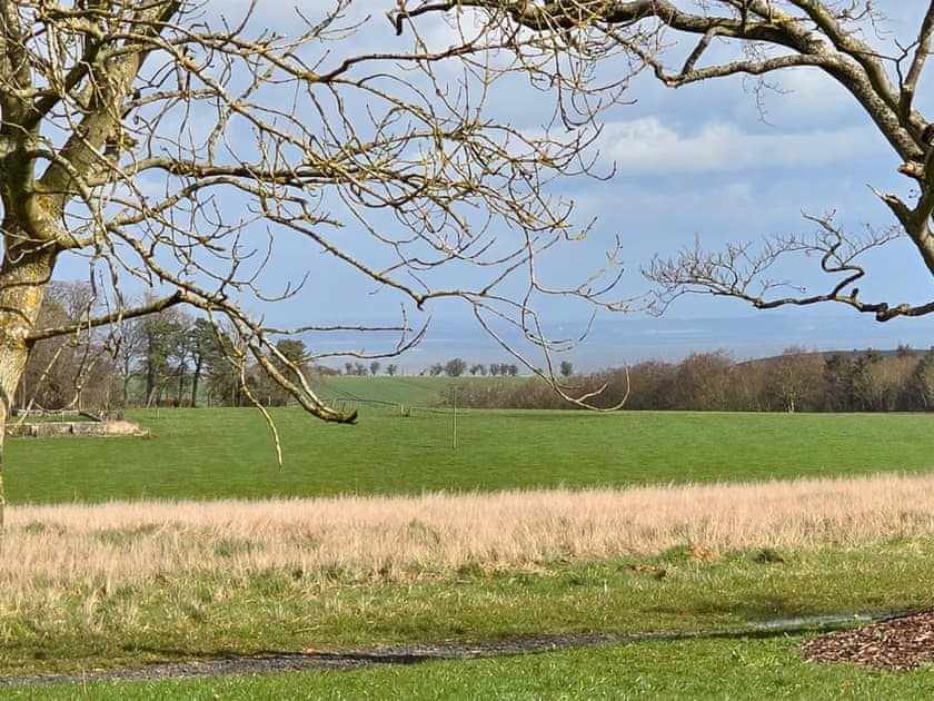 Surrounding area | Lodge 78, St Andrews