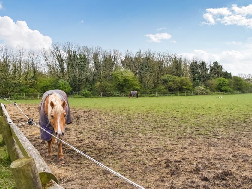 Outdoor area | The Hayloft - Reach Court Cottages, St. Margaret’s, near Dover