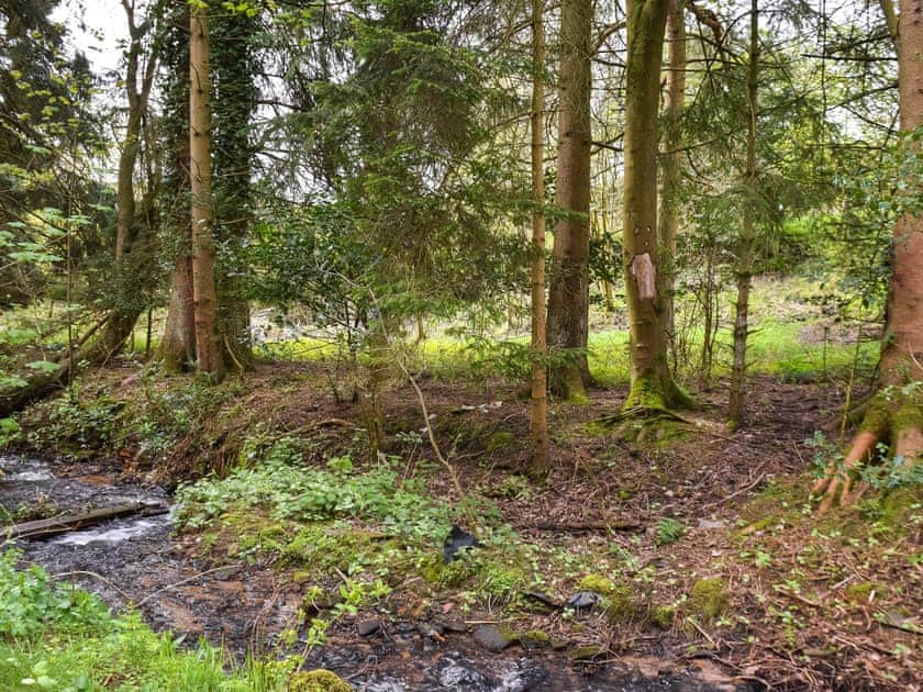 Surrounding area | Dove House, Hollingworth