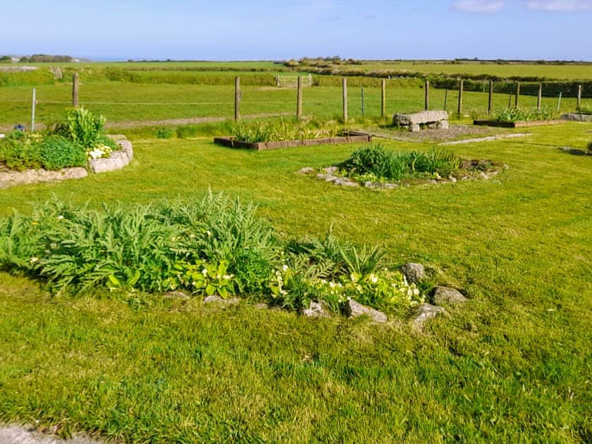 Garden | Ash Tree Cottage, Four Lanes, near Camborne