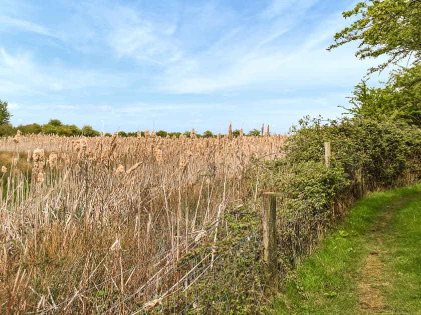 Surrounding area | The Roost, Holme-next-the-sea, near Hunstanton