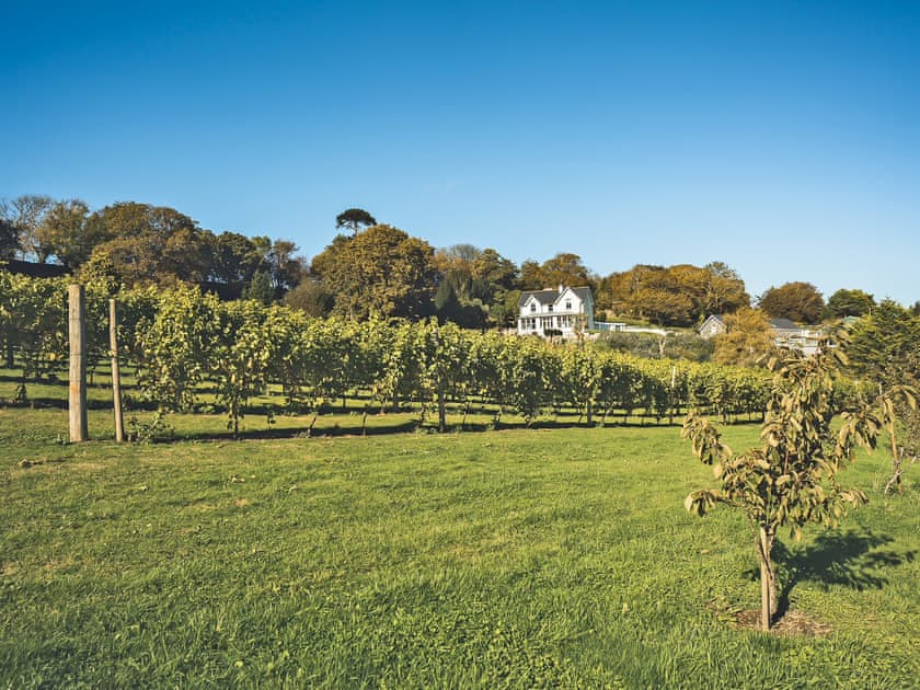 Surrounding area | Bwthyn Hudol Bach - Llwynhudol Vineyard Cottages, Pwllheli