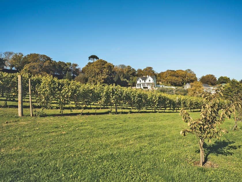 Surrounding area | Golygfa Hudol - Llwynhudol Vineyard Cottages, Pwllheli