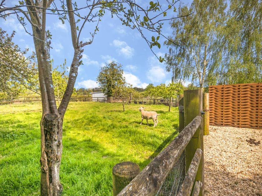 Surrounding area | Stable Cottage, Great Ryburgh, near Fakenham