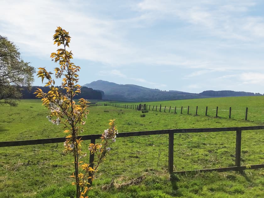 View | Heathfield, Denholm