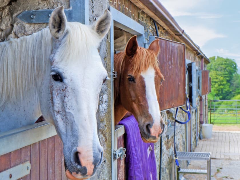 On-site amenities | The Corn Loft - Longlands Farm Cottages, Haverfordwest, near Narberth