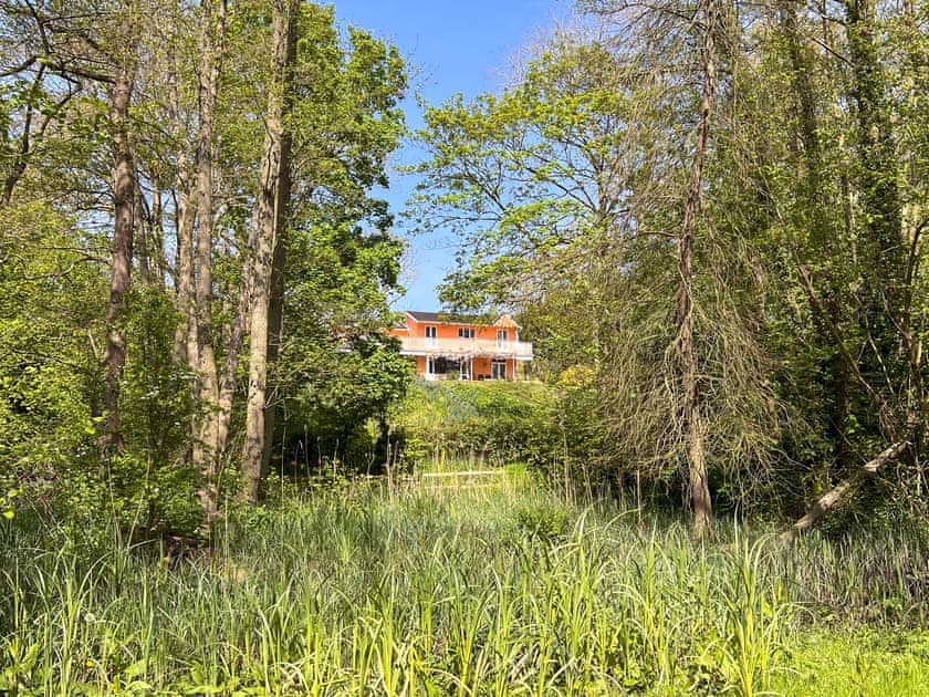 Surrounding area | Dunburgh Wood, Geldeston, near Beccles