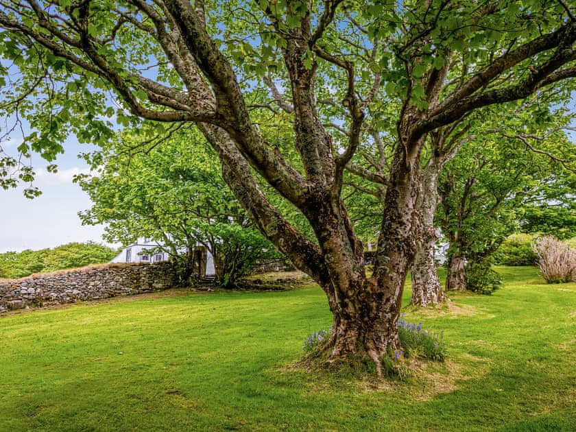 Garden | Voe House, Voe, near Shetland