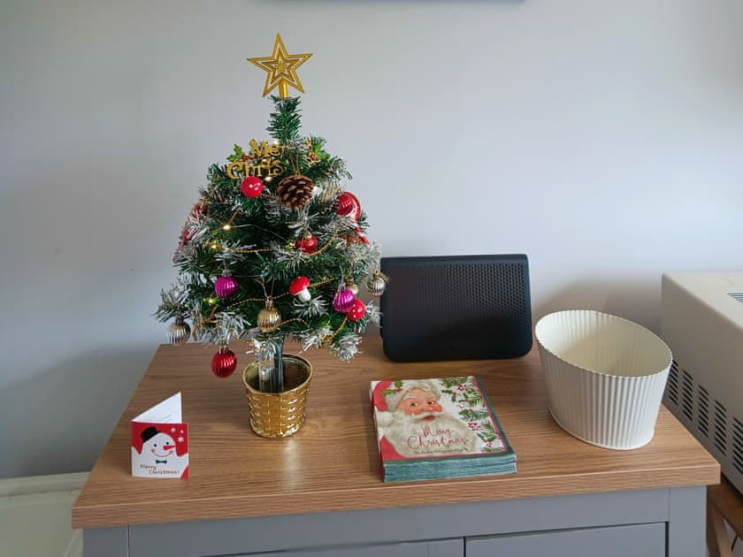 Christmas | The Nest - Owls Range, Woodbury Salterton, near Exmouth