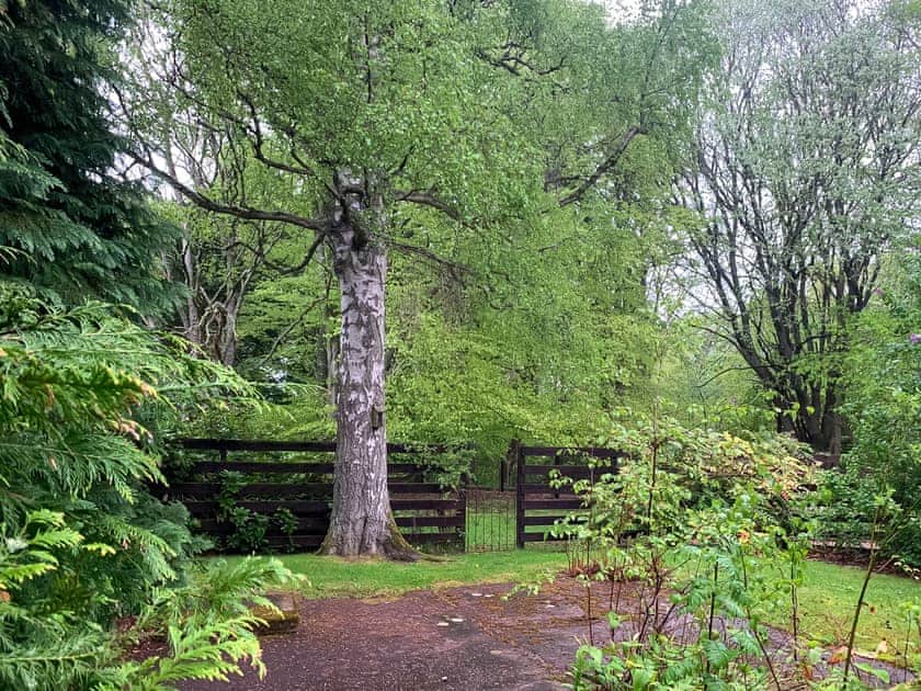 Garden | Foresters Cottage, Tarbat, Invergordon