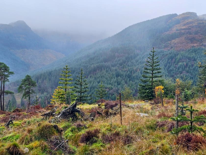 Surrounding area | Lochside, Kilmun, near Dunoon