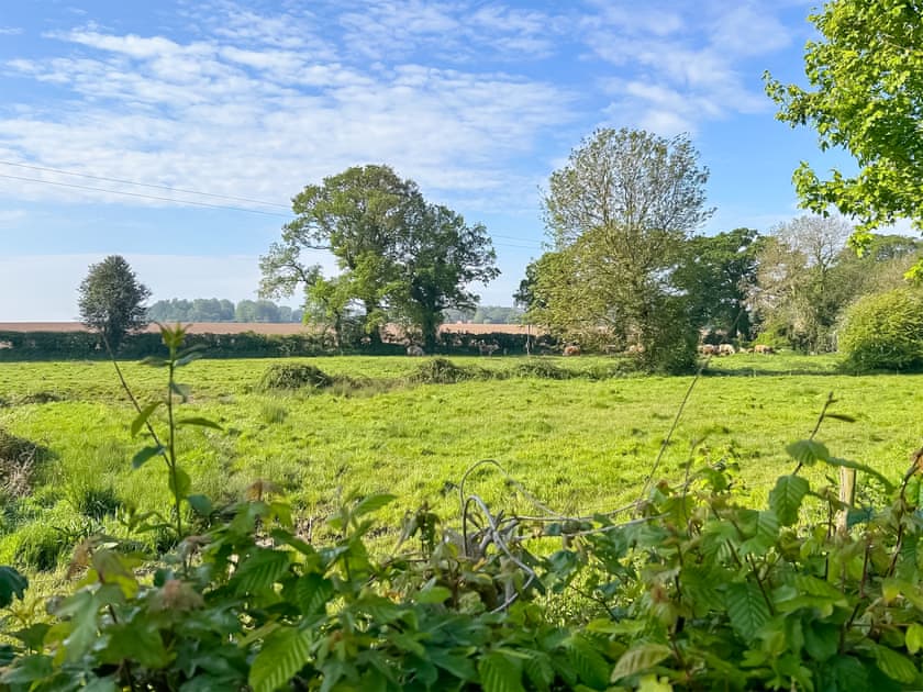 Surrounding area | Swallow Cottages, No. 2 - Swallow Cottages, Wickmere