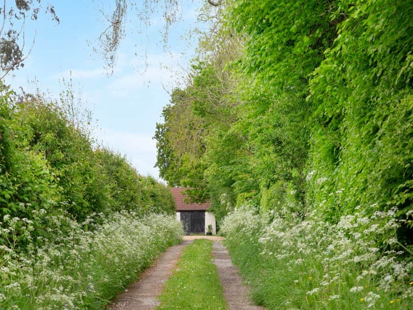 Surrounding area | Hayden Farm, Blackdown Hills, near Culmstock 