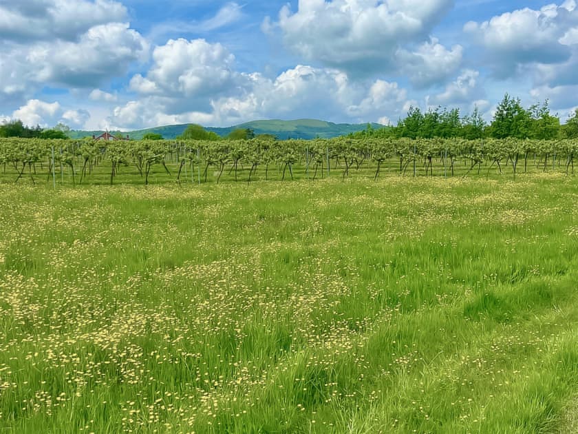 Surrounding area | Lovells Barn, Welland, near Malvern