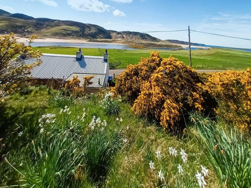 Setting | The Captains, Bettyhill