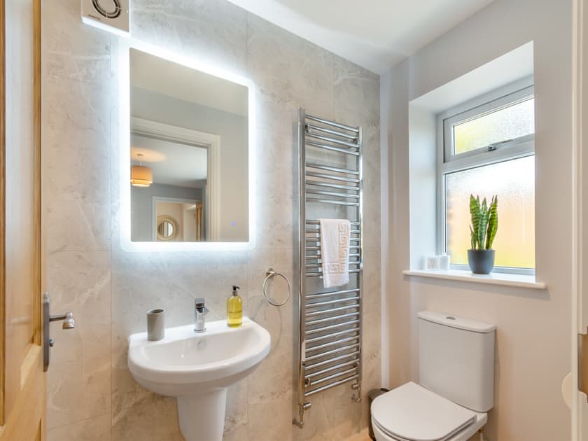 En-suite shower room for Room 1  | Llwyncelyn Farmhouse, Clynderwen