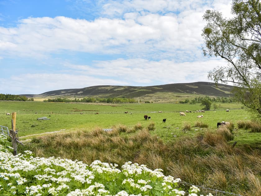 View | Mid Bellandy, Glenrinnes