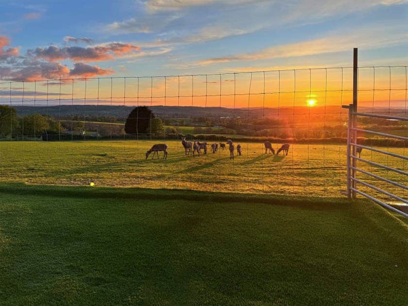View | Deer View, Ottery St Mary