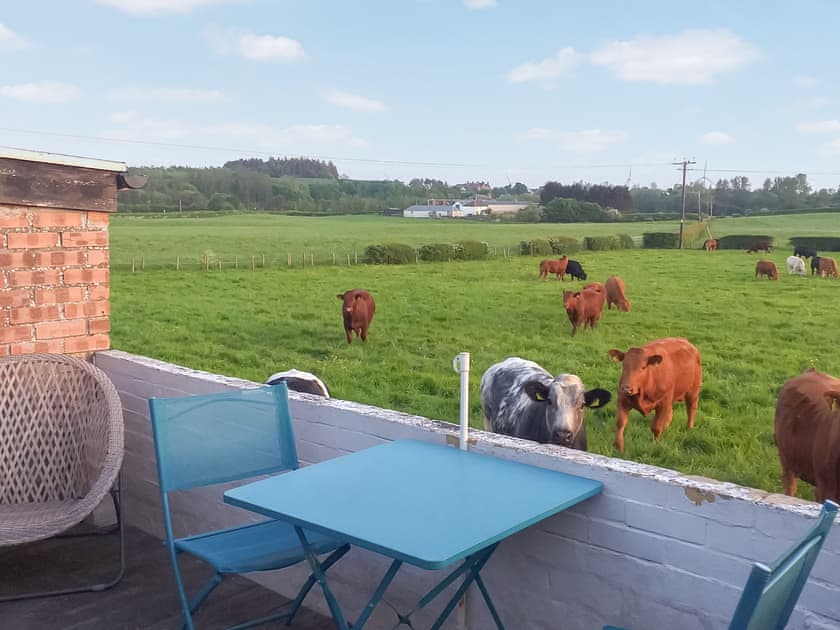 Terrace | Honeysuckle Cottage, Dreghorn, near Irvine