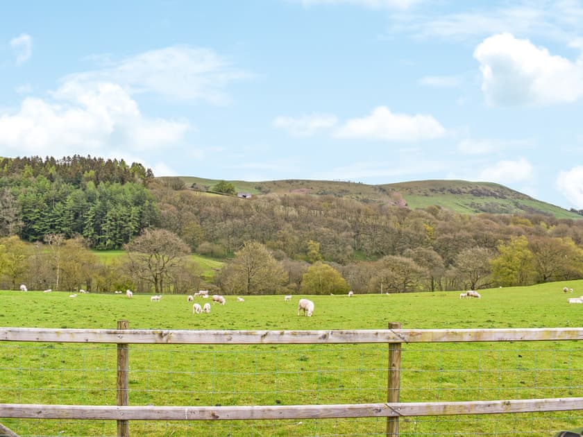 View | Seren, Abbeycwmhir, near Llandrindod Wells