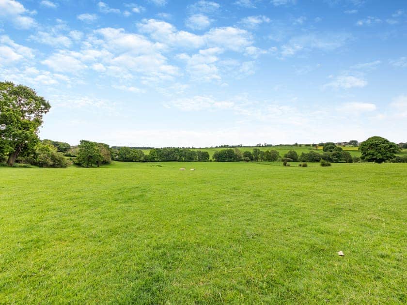View | Bolton Farm, Durham