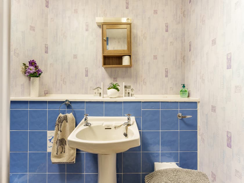 Shower room | Carraig Dhubh Cottage - Carraig Dhubh Cottages, Whiting Bay