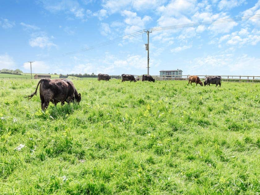 Surrounding area | The Old Stables 1 - Quarry Hill Farm, Shipton Under Wychwood