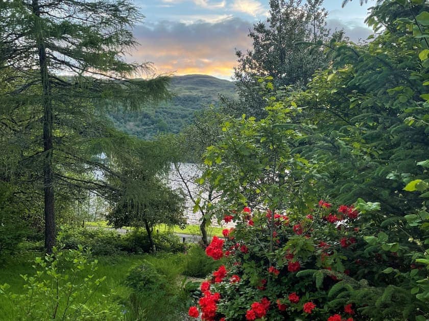 Roughly two acres are fenced, dog-friendly and secure | Tigh-na-Creige, Colintraive
