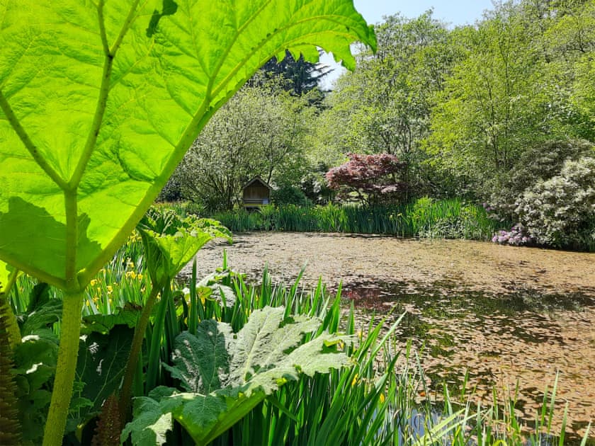 Surrounding area | Ladyvale Barn, Cardinham, near Bodmin