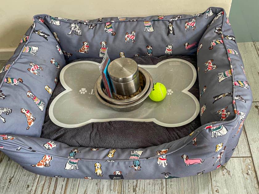 Dog friendly | Seal Pup, Sheringham