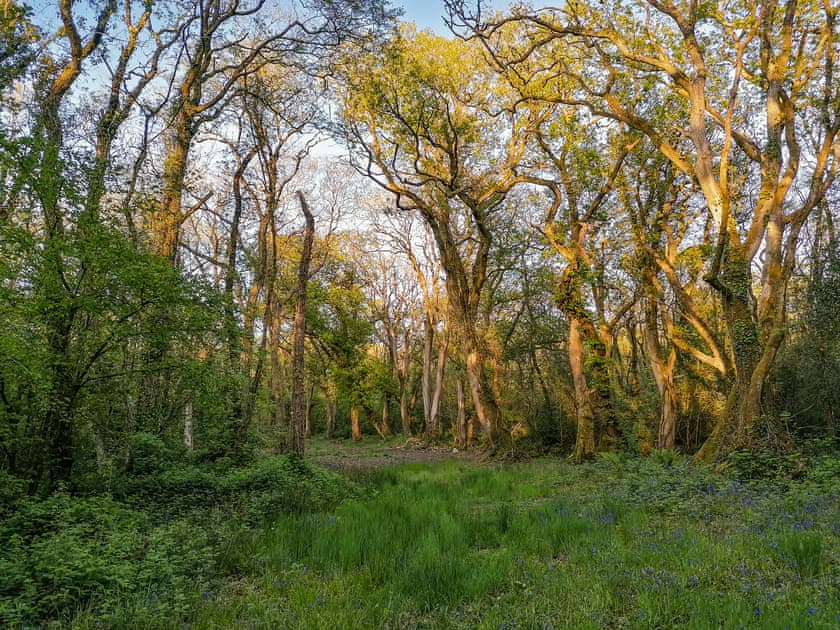 Surrounding area | Ty’r Eithin Bach, Trimsaran, near Kidwelly
