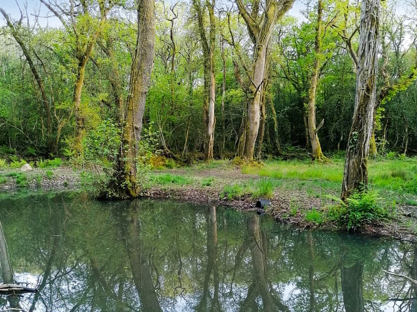 Surrounding area | Ty’r Eithin Bach, Trimsaran, near Kidwelly