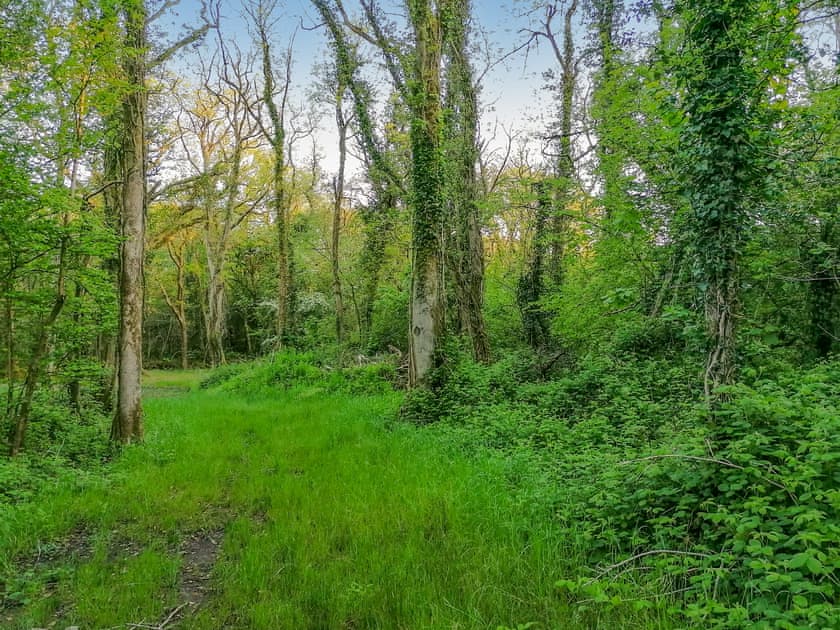 Surrounding area | Ty’r Eithin Bach, Trimsaran, near Kidwelly