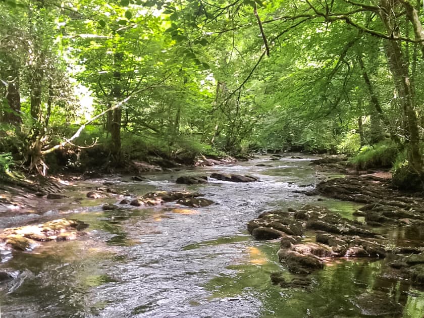 Surrounding area | Hollyhocks Cottage, Hellandbridge, near Bodmin