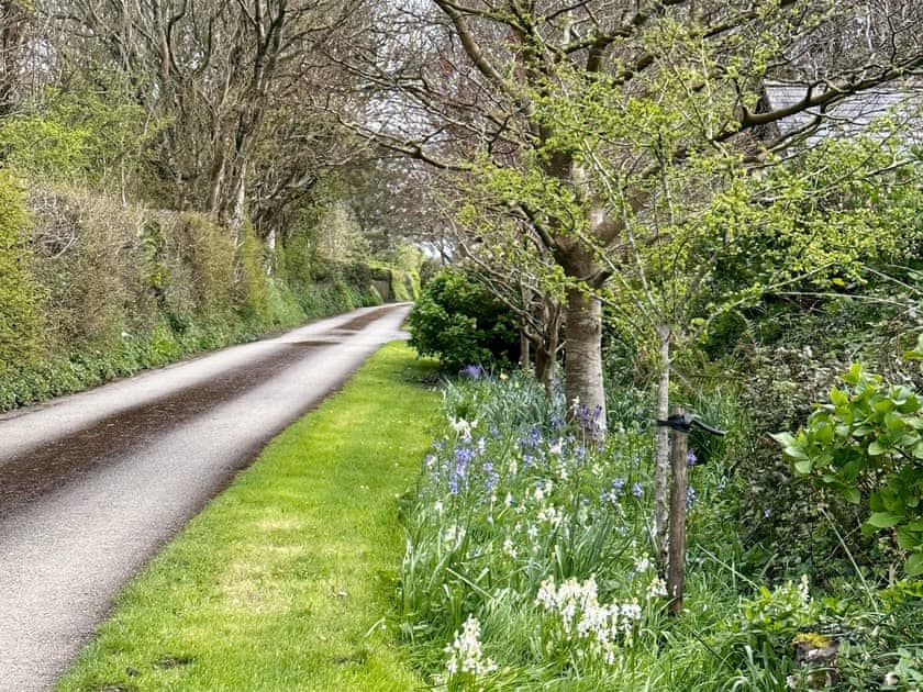 Surrounding area | Pine Cottage - Golden Park, Hartland
