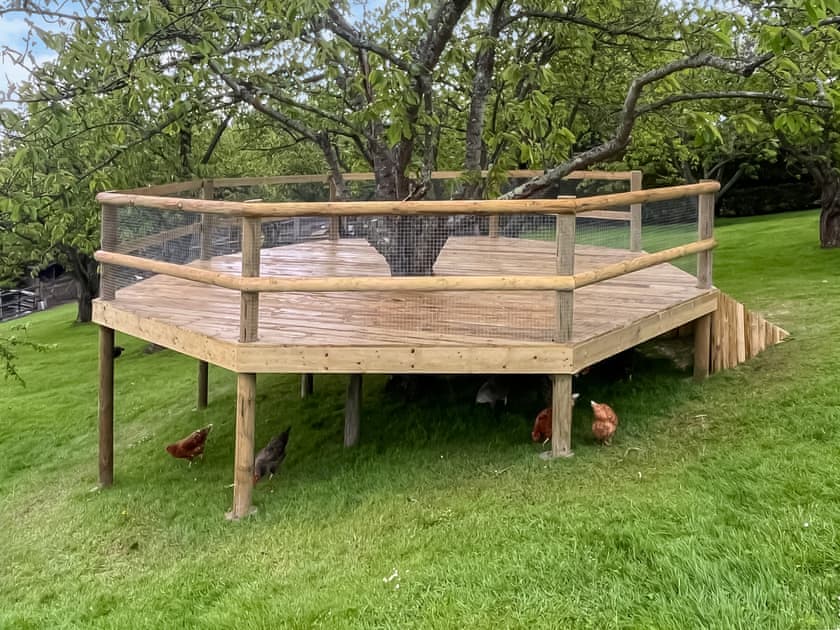 Garden | Lekido, Faversham
