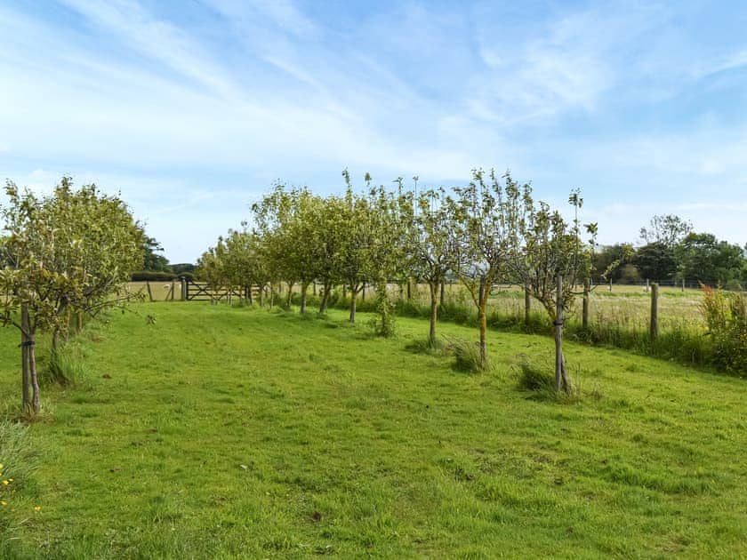 Outdoor area | Swallow Cottage - East Ridge Farm Holiday Cottages, Staithes, near Saltburn-by-the-Sea