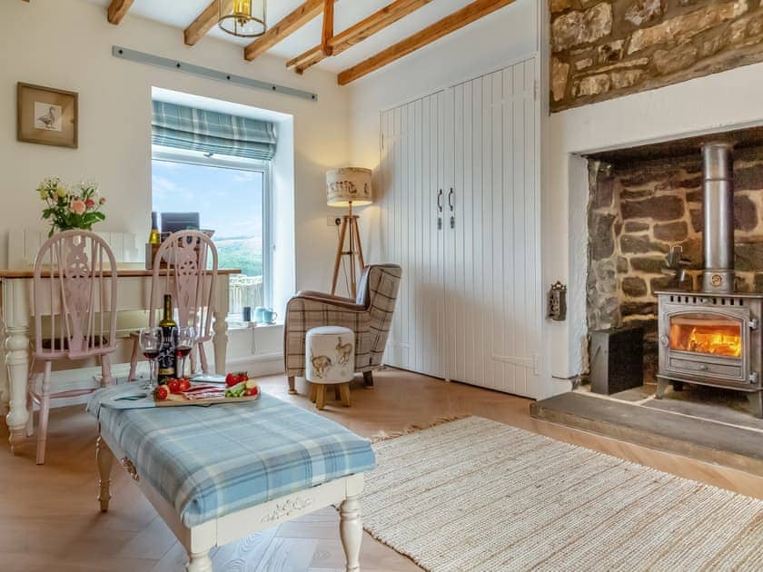 Wonderful feature fireplace in the living area | Lake View Cottage, Yarrow Moor, near Bellingham